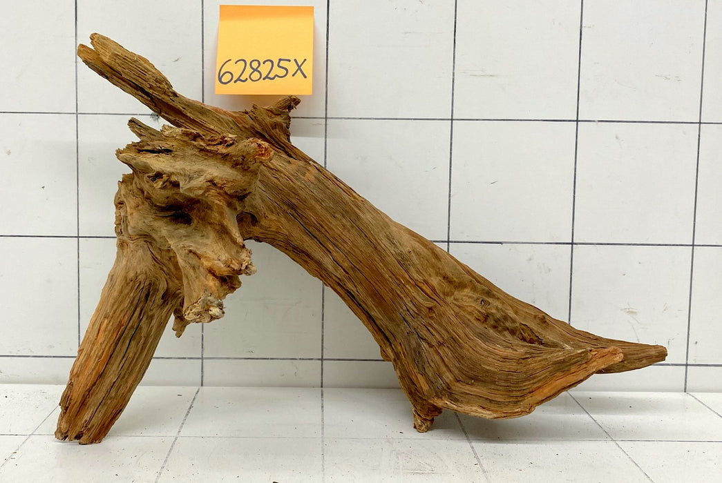 62825X - XINGU Wood Wurzelholz