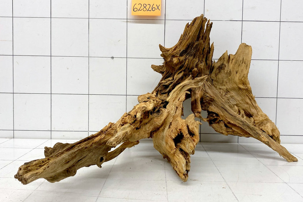 62826X - XINGU Wood Wurzelholz