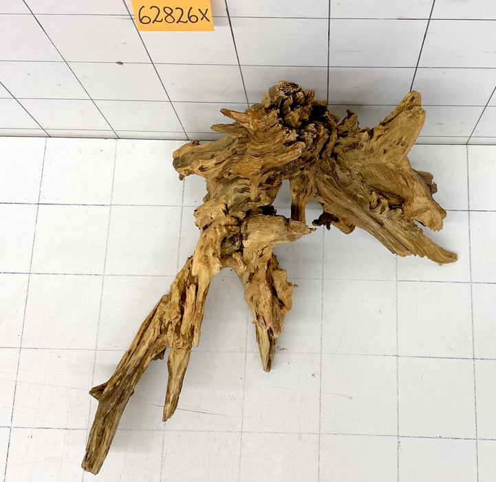 62826X - XINGU Wood Wurzelholz