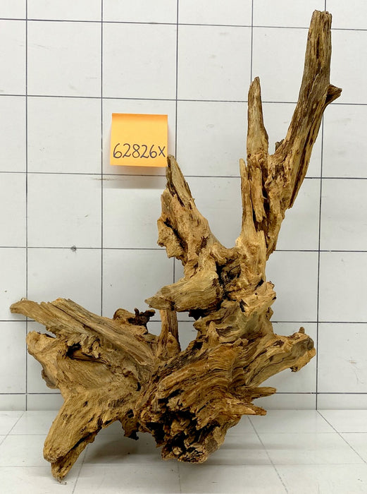62826X - XINGU Wood Wurzelholz