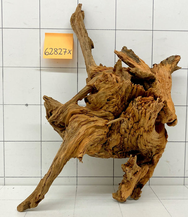 62827X - XINGU Wood Wurzelholz