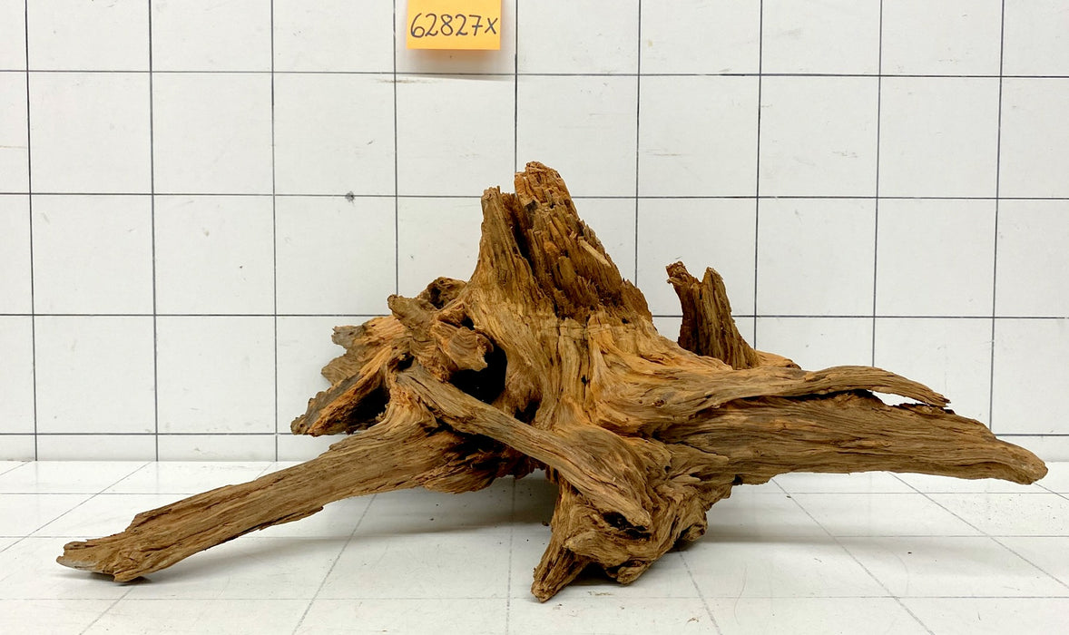 62827X - XINGU Wood Wurzelholz
