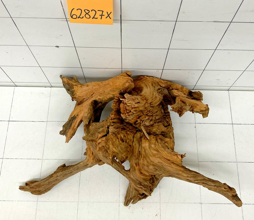 62827X - XINGU Wood Wurzelholz