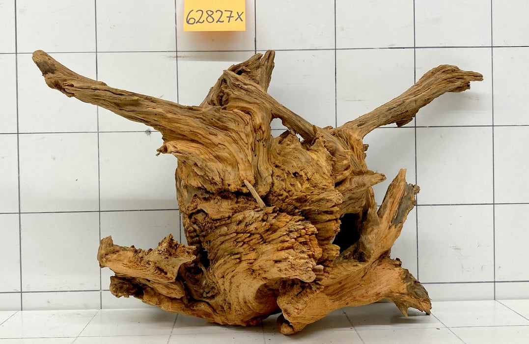62827X - XINGU Wood Wurzelholz