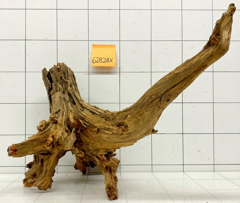 62828X - XINGU Wood Wurzelholz