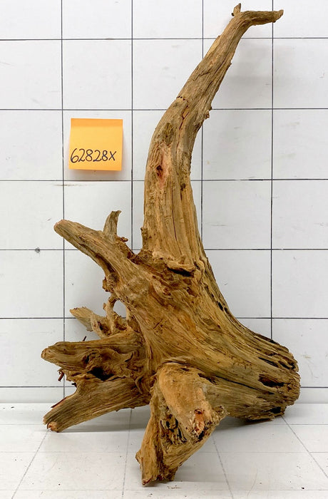 62828X - XINGU Wood Wurzelholz