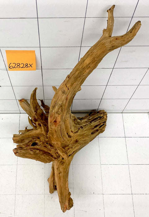 62828X - XINGU Wood Wurzelholz