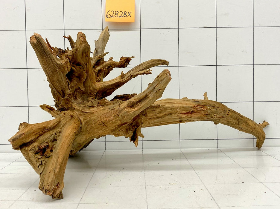 62828X - XINGU Wood Wurzelholz