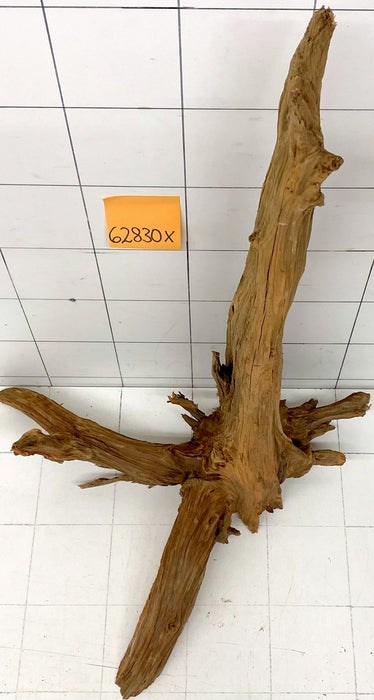 62830X - XINGU Wood Wurzelholz mit geschnittener Grundfläche