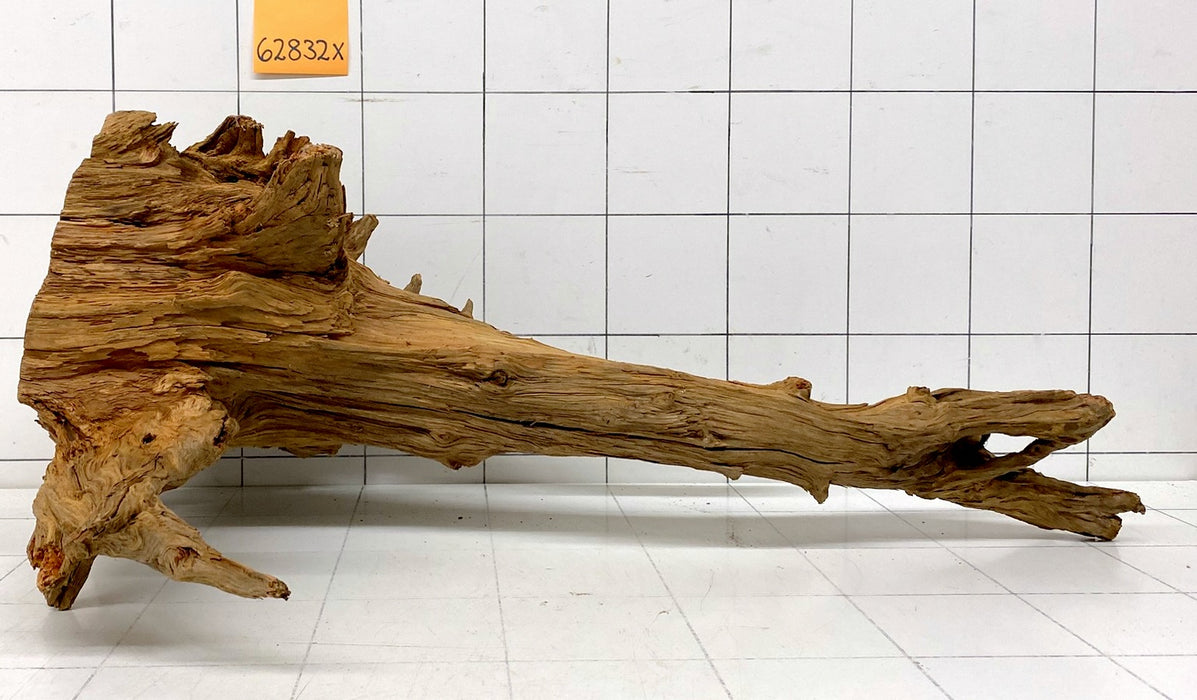 62832X - XINGU Wood Wurzelholz mit geschnittener Grundfläche