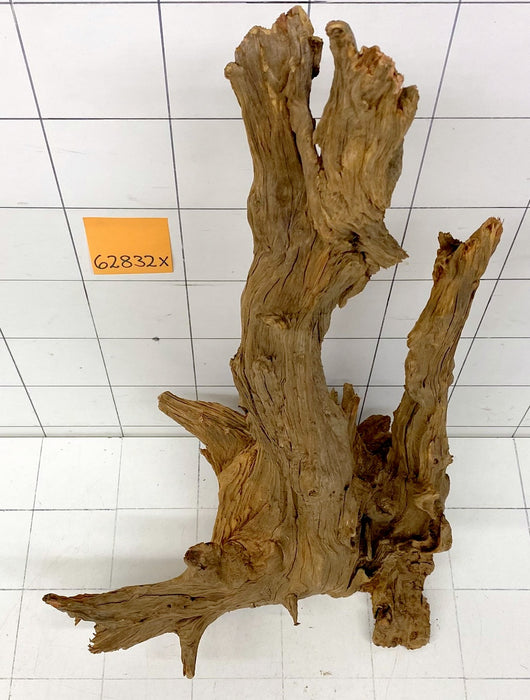 62832X - XINGU Wood Wurzelholz mit geschnittener Grundfläche