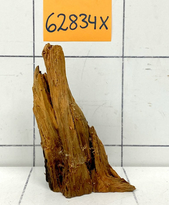 62834X - XINGU Wood Wurzelholz mit geschnittener Grundfläche