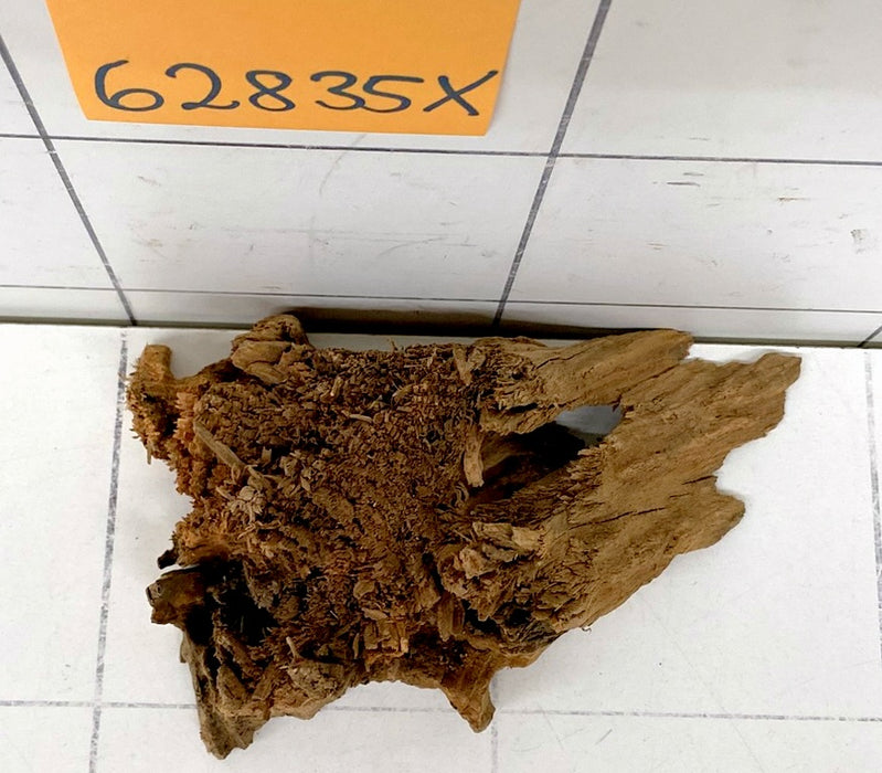 62835X - XINGU Wood Wurzelholz mit geschnittener Grundfläche