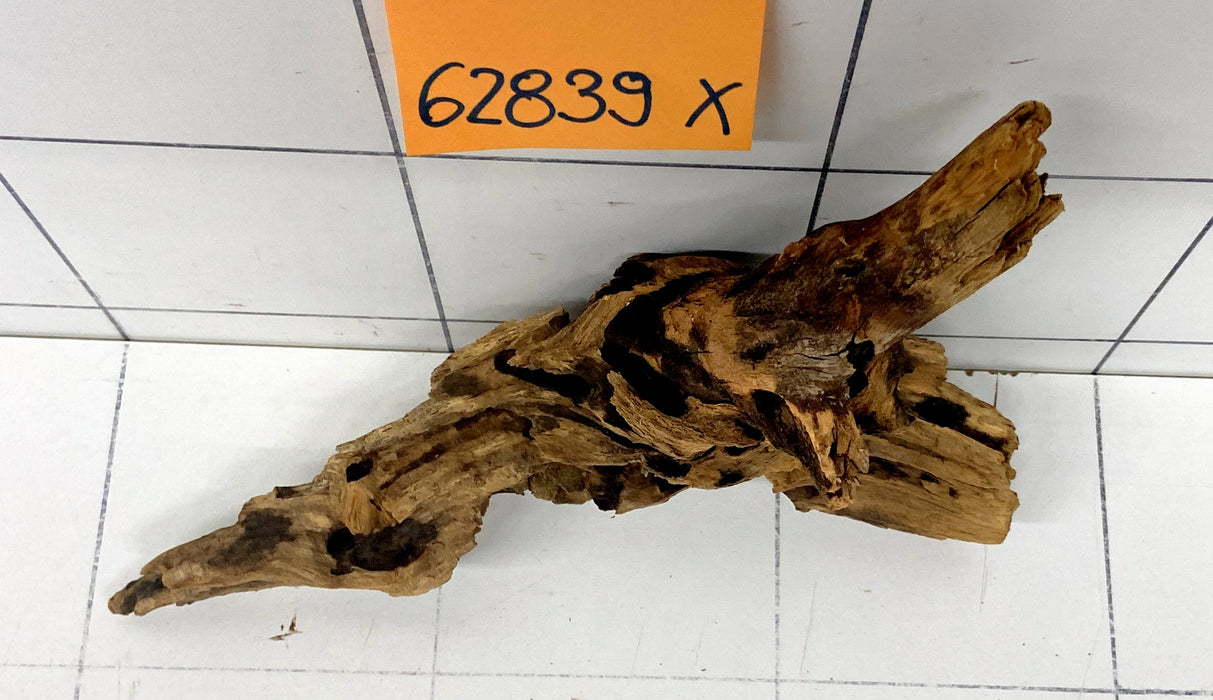 62839X - XINGU Wood Wurzelholz