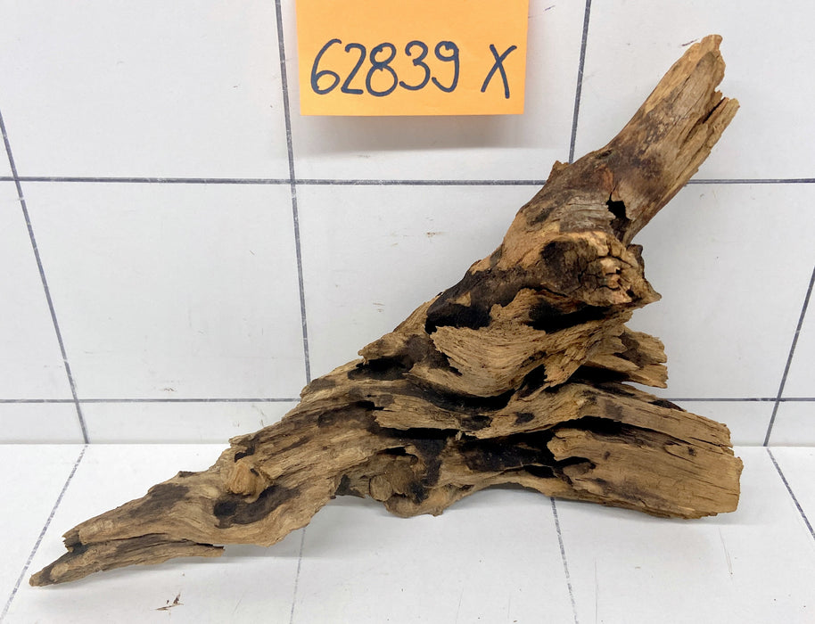 62839X - XINGU Wood Wurzelholz