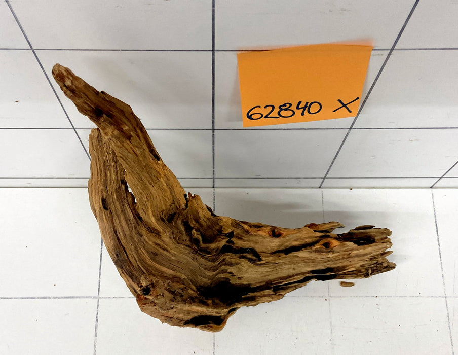 62840X - XINGU Wood Wurzelholz