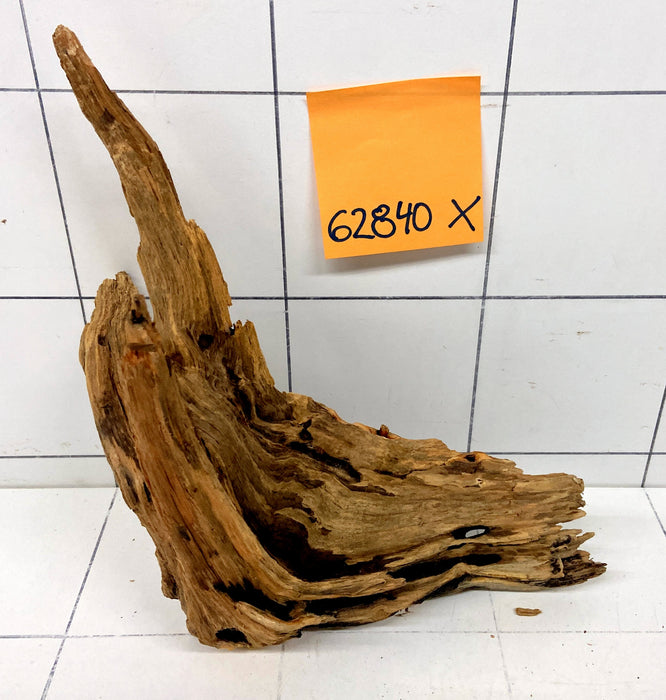 62840X - XINGU Wood Wurzelholz