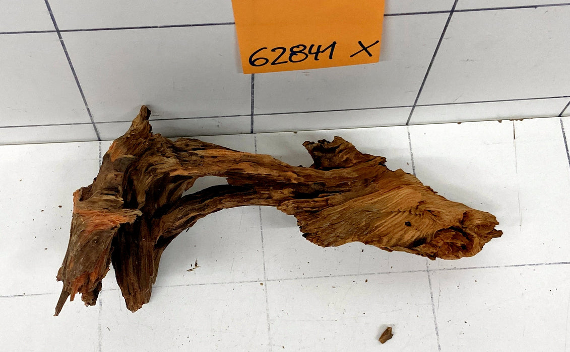 62841X - XINGU Wood Wurzelholz