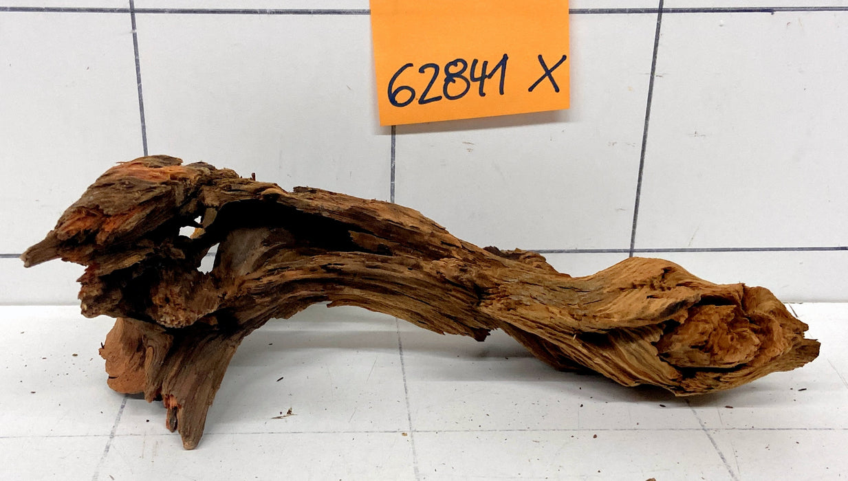 62841X - XINGU Wood Wurzelholz