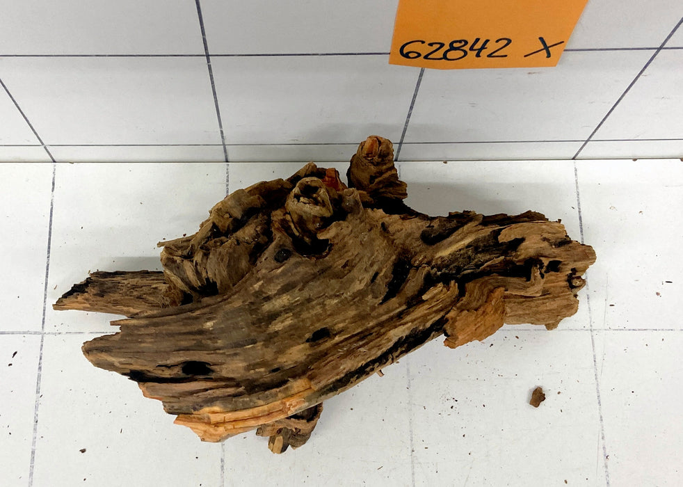 62842X - XINGU Wood Wurzelholz