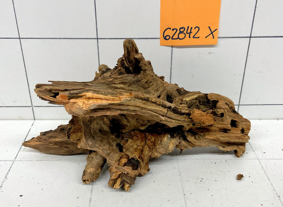 62842X - XINGU Wood Wurzelholz