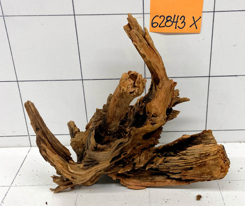 62843X - XINGU Wood Wurzelholz