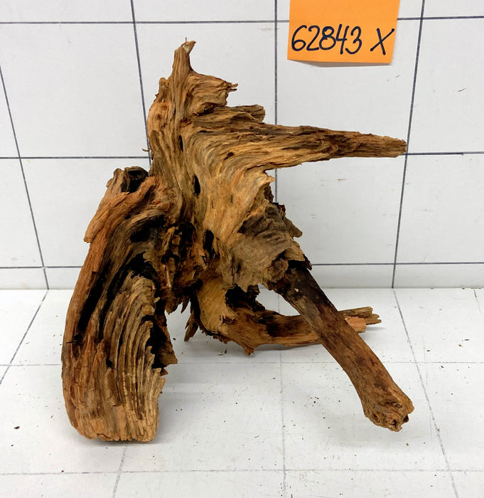 62843X - XINGU Wood Wurzelholz