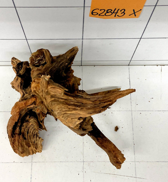 62843X - XINGU Wood Wurzelholz