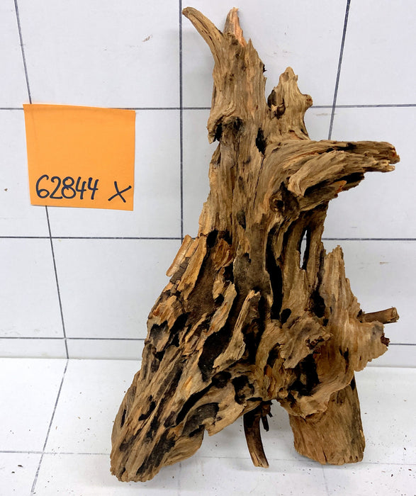 62844X - XINGU Wood Wurzelholz