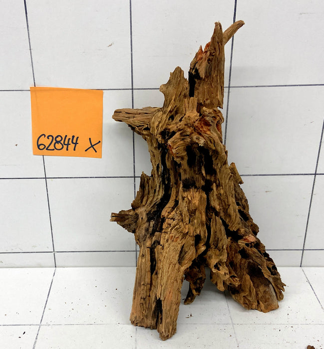 62844X - XINGU Wood Wurzelholz