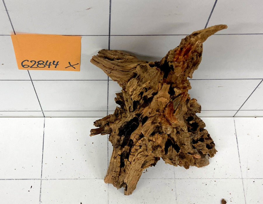 62844X - XINGU Wood Wurzelholz