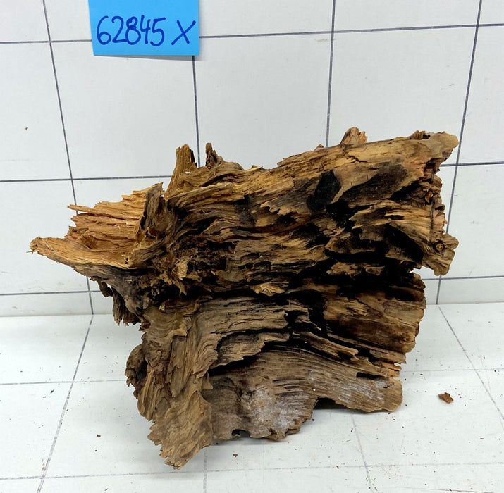 62845X - XINGU Wood Wurzelholz