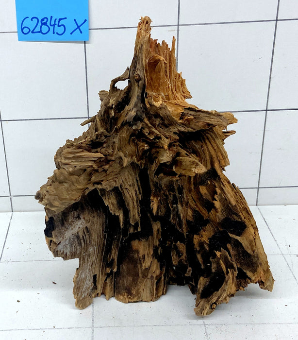 62845X - XINGU Wood Wurzelholz