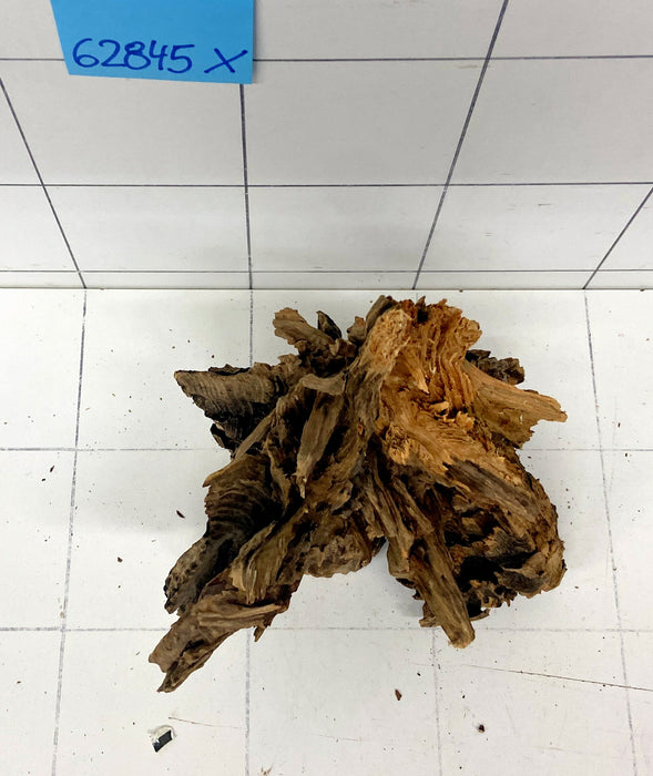 62845X - XINGU Wood Wurzelholz