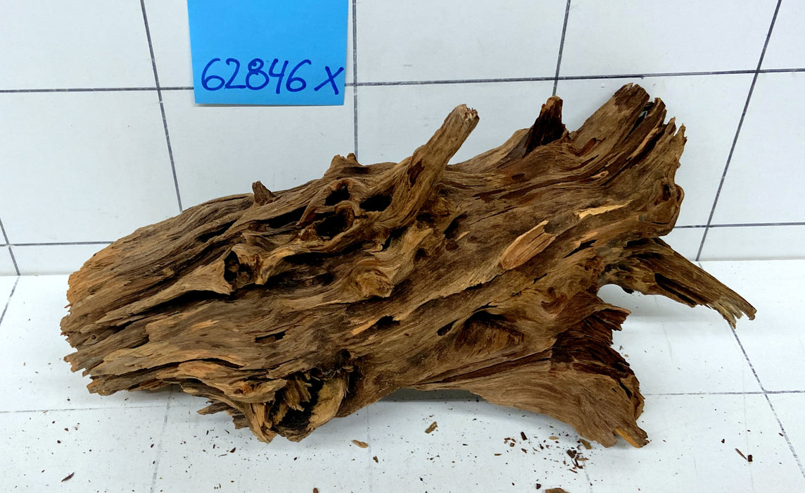 62846X - XINGU Wood Wurzelholz