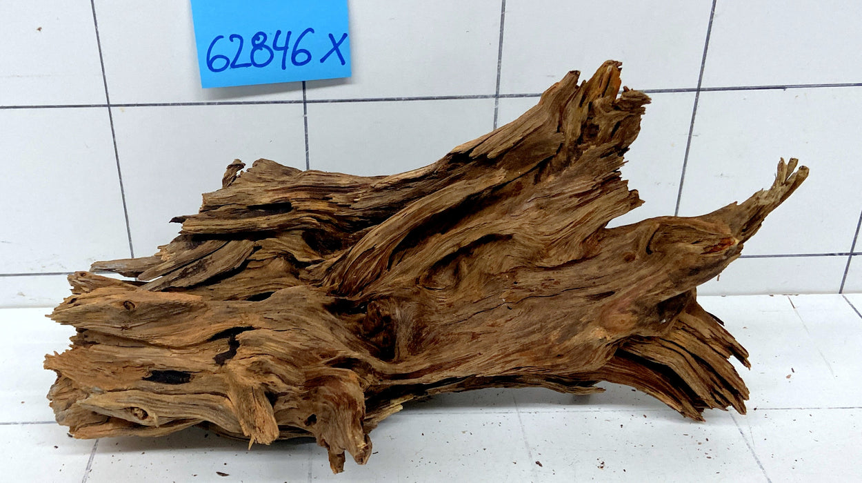 62846X - XINGU Wood Wurzelholz