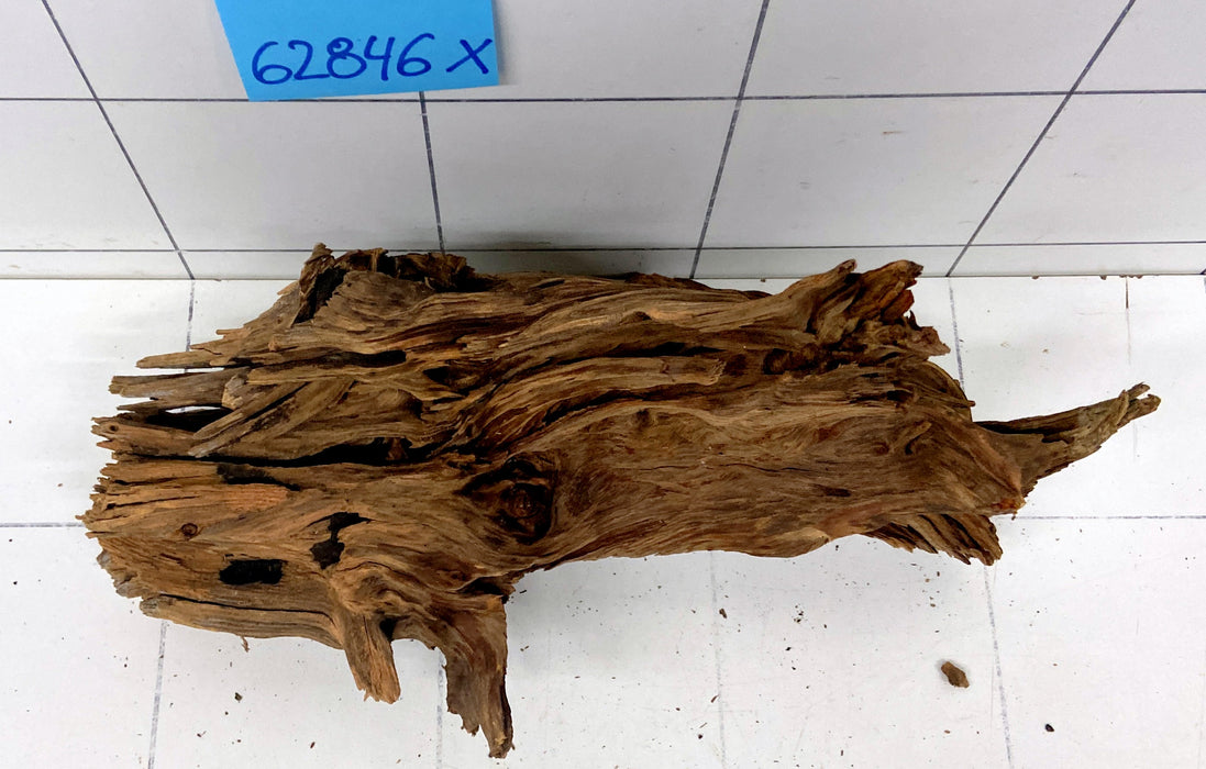 62846X - XINGU Wood Wurzelholz