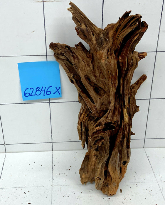 62846X - XINGU Wood Wurzelholz