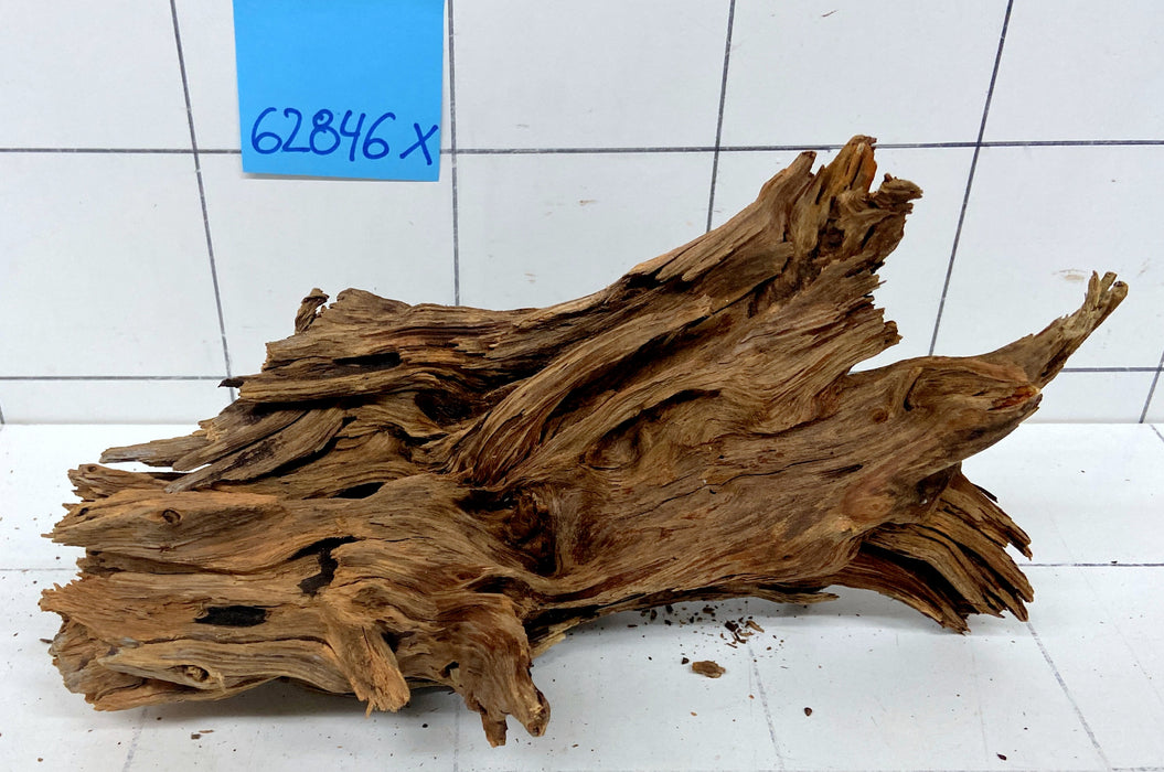62846X - XINGU Wood Wurzelholz