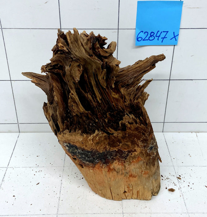 62847X - XINGU Wood Wurzelholz