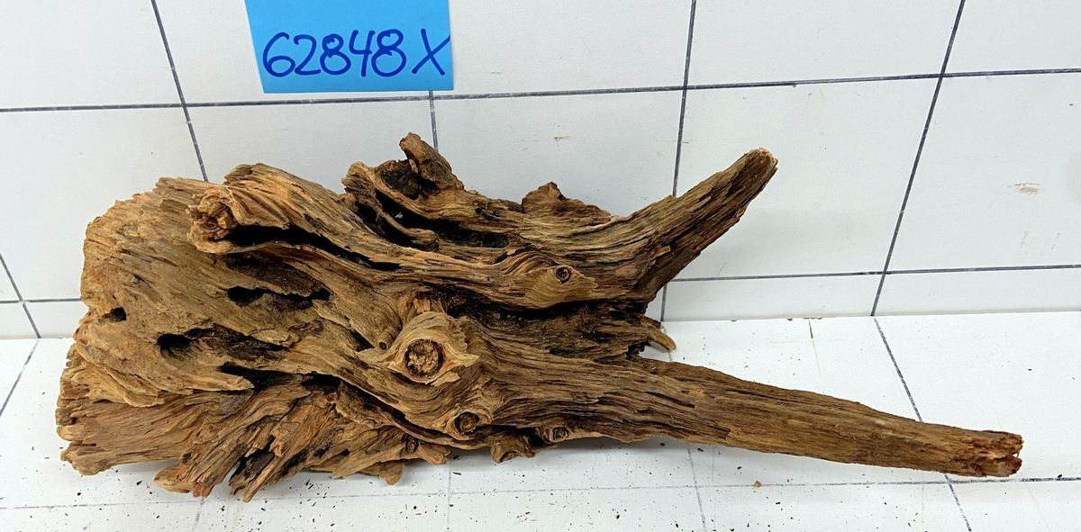 62848X - XINGU Wood Wurzelholz