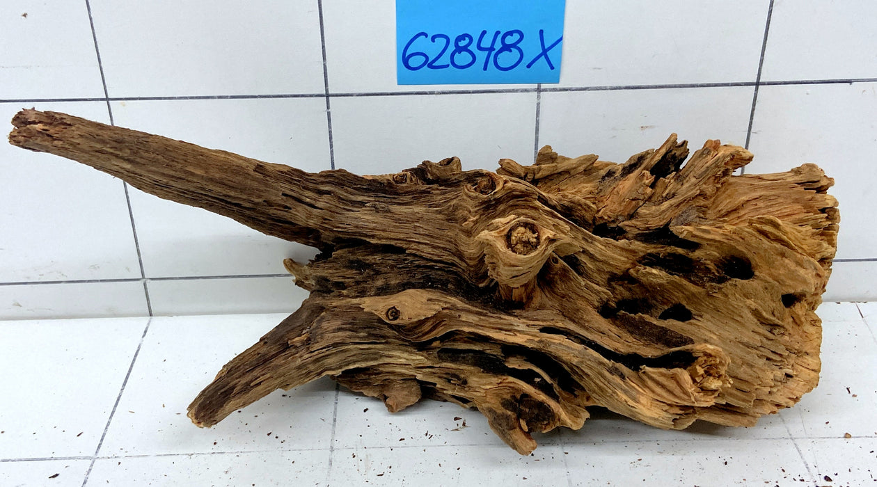 62848X - XINGU Wood Wurzelholz