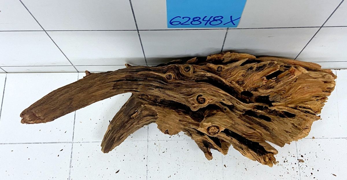 62848X - XINGU Wood Wurzelholz