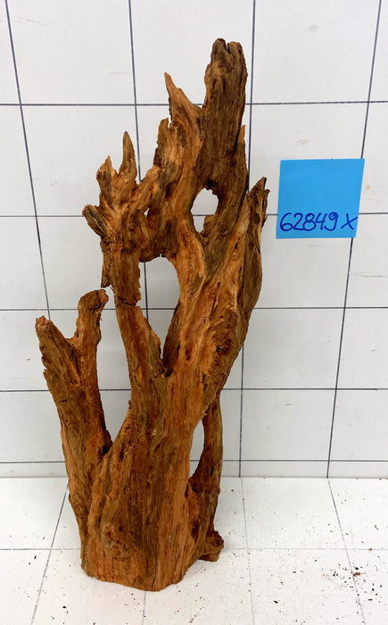 62849X - XINGU Wood Wurzelholz  mit geschnittener Grundfläche