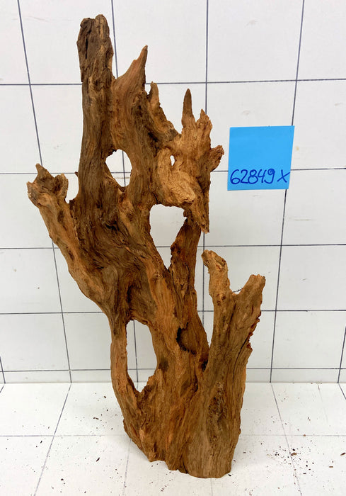 62849X - XINGU Wood Wurzelholz  mit geschnittener Grundfläche