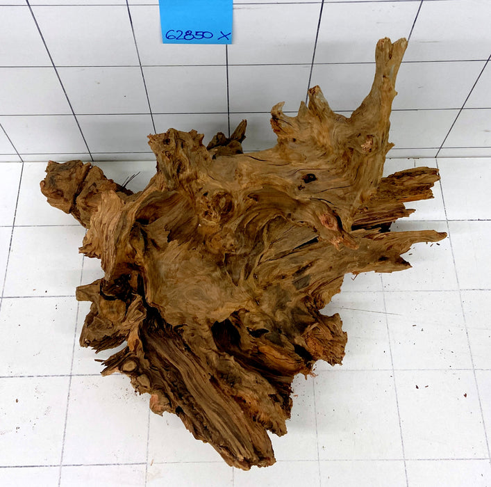 62850X - XINGU Wood Wurzelholz mit geschnittener Grundfläche