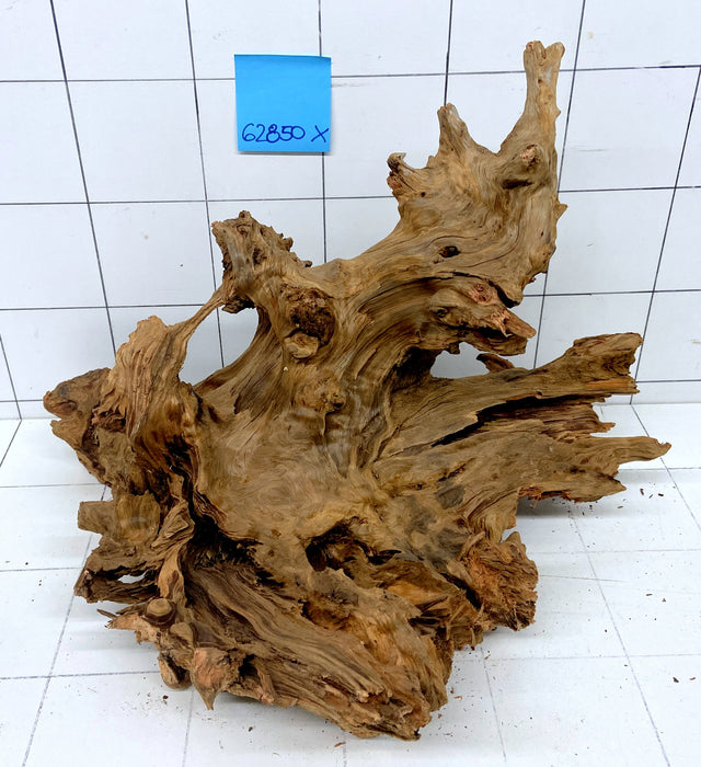 62850X - XINGU Wood Wurzelholz mit geschnittener Grundfläche