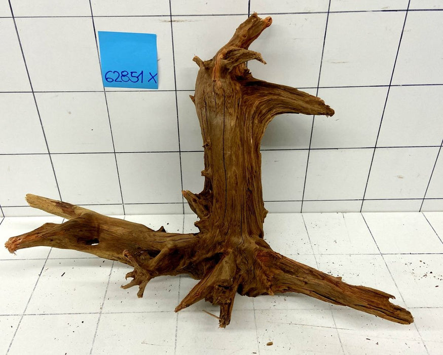 62851X - XINGU Wood Wurzelholz mit geschnittener Grundfläche