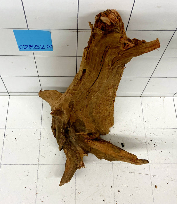 62852X - XINGU Wood Wurzelholz mit geschnittener Grundfläche