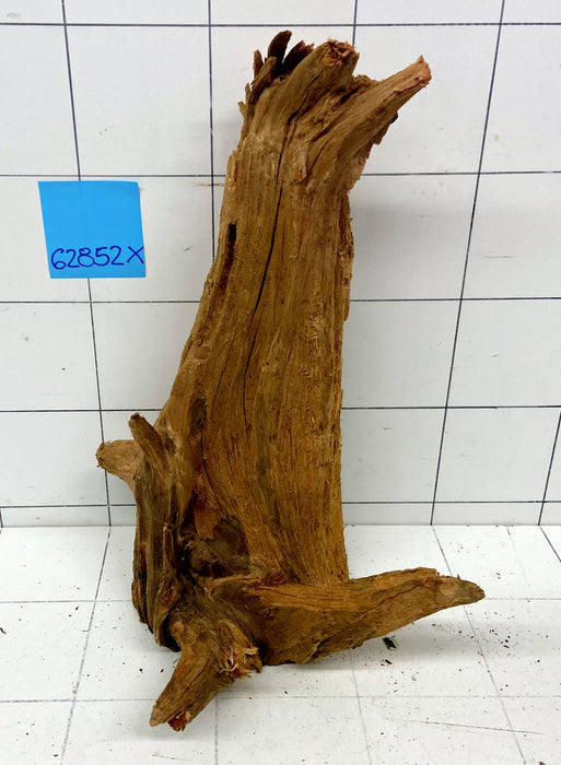 62852X - XINGU Wood Wurzelholz mit geschnittener Grundfläche